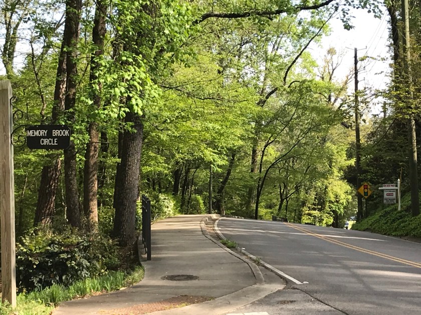 (c) Terri Robertson, T's Southern Garden, 2018