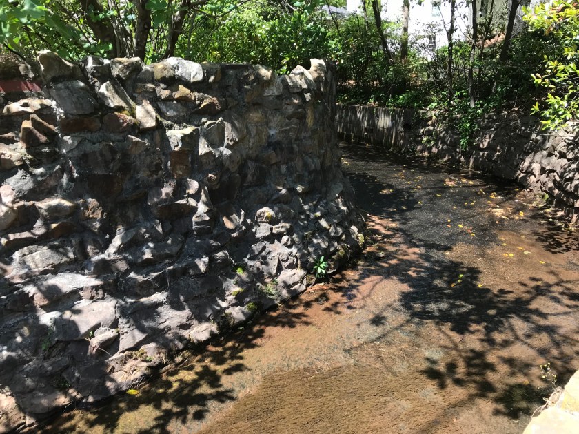 (c) Terri Robertson, T's Southern Garden, 2018