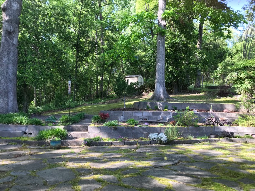 (c) Terri Robertson, T's Southern Garden Blog, 2018